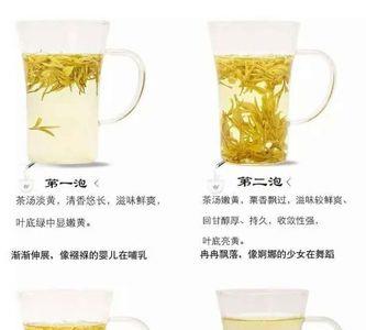 黄魁茶用什么泡