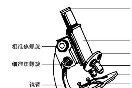 显微镜的物镜的判断依据