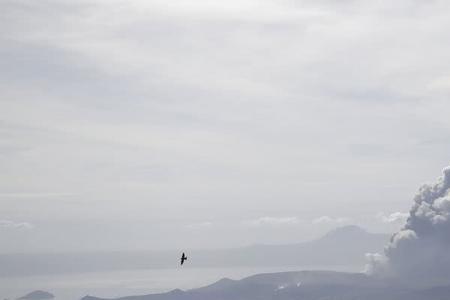 火山灰属于什么灰尘