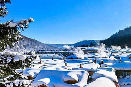 林海雪原冰坨子结局