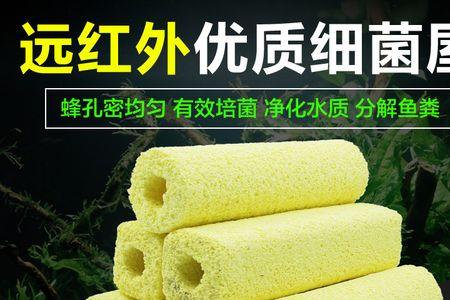 培养硝化细菌滤材必须水泡着吗