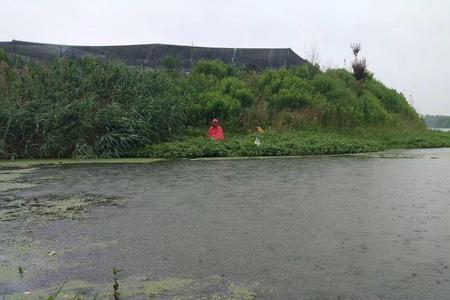 秋天下雨天钓鱼沉底还是浮钓