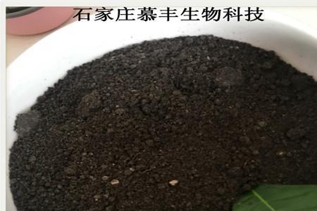 发酵鸡粪肥养花的使用方法