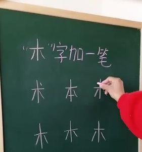 木加若是什么字