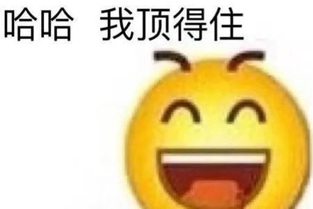 太意外了什么意思