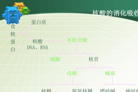 核苷酸能给植物带来什么好处