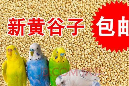 虎皮鹦鹉喂哪种饲料