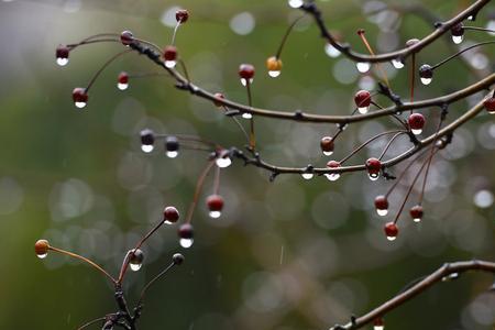 河风细雨是成语吗