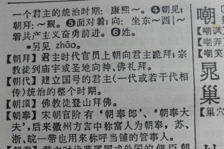 悉可以组什么词