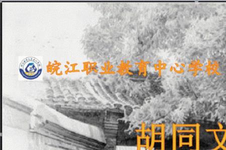 胡同文化是什么体裁