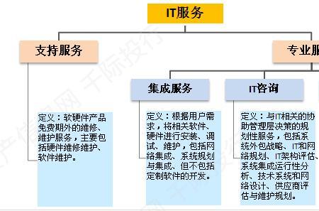 在IT行业里的SI什么意思