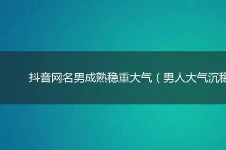 抖音名字男霸气沉稳以道为名