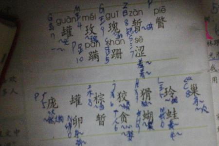 用科字组词四个词