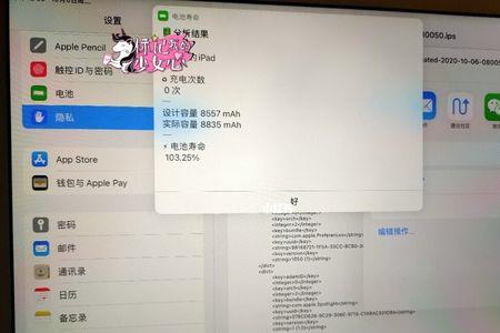 ipad电池容量怎么开启