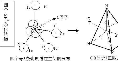 h2o2中的o的杂化类型