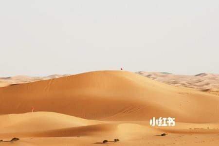 如果腾格里沙漠经常下雨会怎样