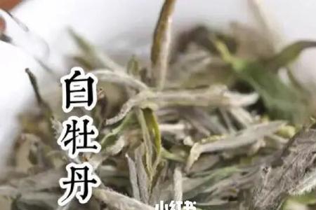 白茶哪一年有牡丹