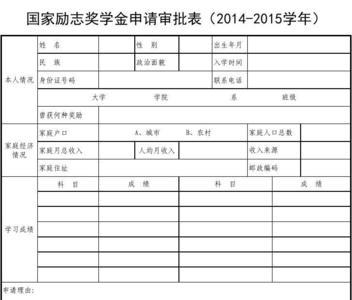 奖学金中层次怎么填