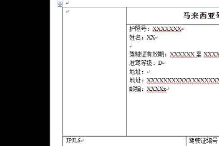 马来西亚驾照分几种