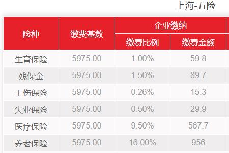 社保公积金缴纳多久可以查询