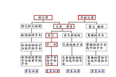 姑表妹是什么亲属关系