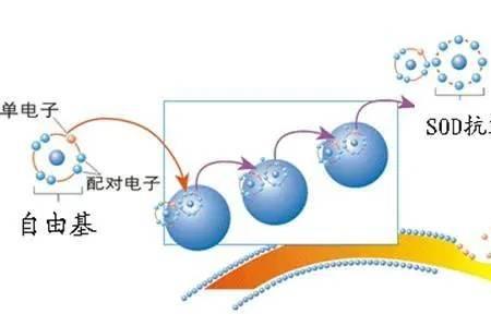 污水sod什么意思