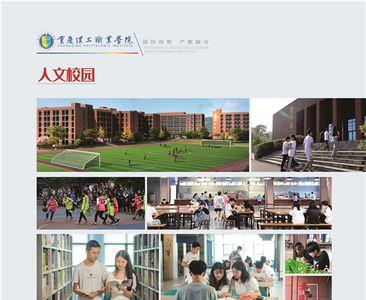 重庆理工职业学院就业前途