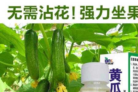 坐果灵喷花还是喷叶