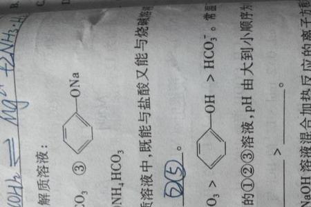 碳酸氢根的水解方程式