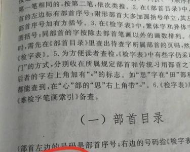 扬字的查字法先查什么