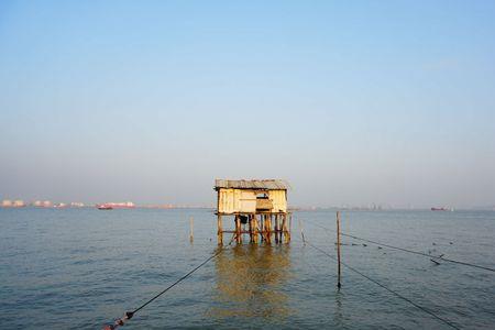 海鸥岛的海鲜市场开放了吗