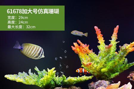 珊瑚礁石可以用淡水养吗