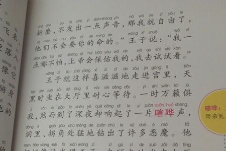 无所畏惧的王子主要内容15个字