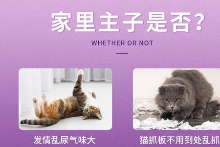 猫咪费洛蒙喷雾使用方法