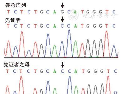 基因杂合变异什么意思