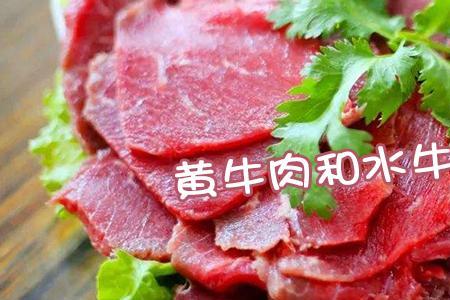 进口牛肉跟黄牛肉区别