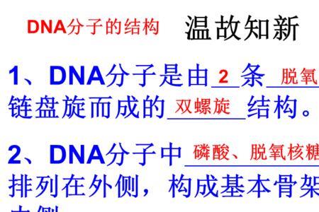 dna复制方向是沿模板链的