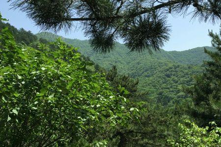 延庆松山国家森林公园门票