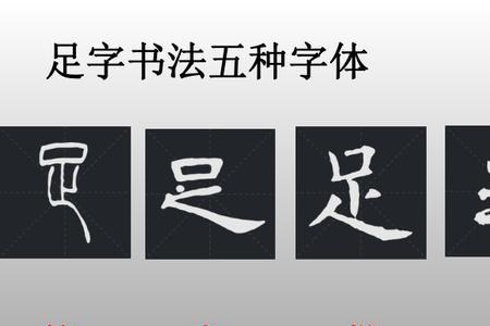 足字旁加从是什么字