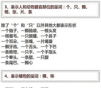 一道这个量词怎么用