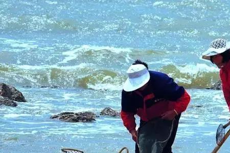 威海双岛湾赶海时间表