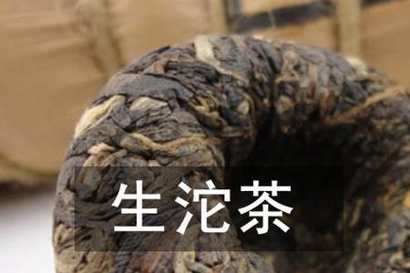 生茶能做茶菌吗