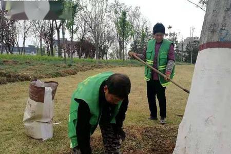 事业单位园林绿化报考的人多吗