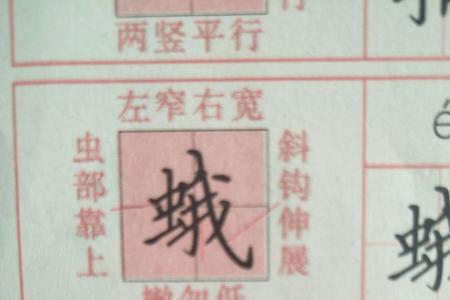 虫字旁四个又念什么字