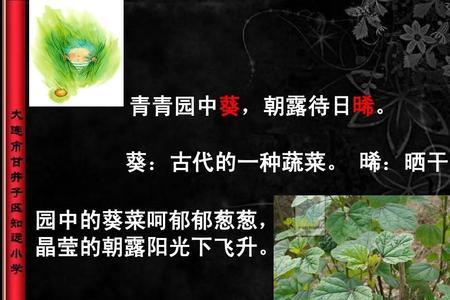 最后一个字是菜的诗