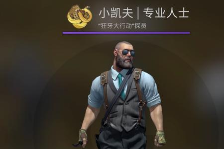 csgo什么品质探员会说话