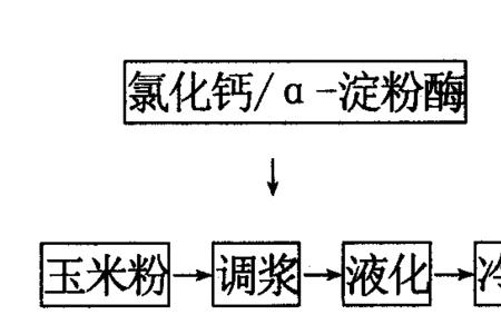 酶解与发酵的分别