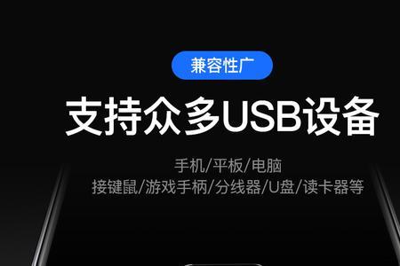 u盘转接器插车里怎么不能放音乐