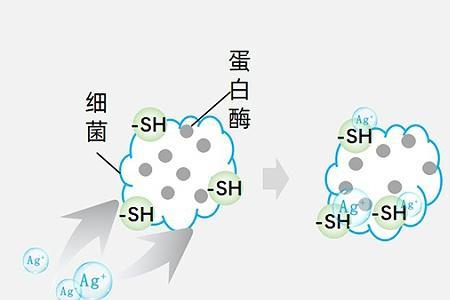 为什么银离子最外层电子十八