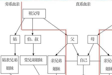 表姐夫算三代以内旁系亲属吗